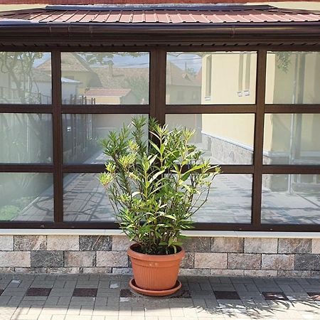 Yellow House ซีบิว ภายนอก รูปภาพ